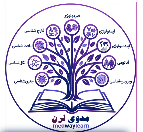 پک گروهی تمام دروس علوم پایه